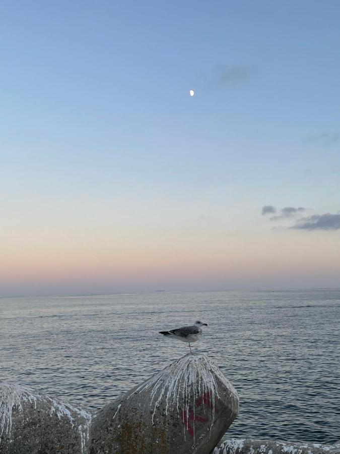 O Som Das Ondas - Vista Soberba De Mar Sesimbra Exterior foto
